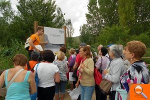 Vecinos de Gandia disfrutan de una actividad de orientación por La Marjal  - (foto 3)