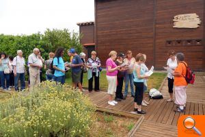 Vecinos de Gandia disfrutan de una actividad de orientación por La Marjal  - (foto 2)