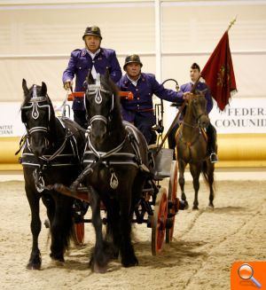Mañana se elige en Fiecval al caballo de pura raza española “más bello” de Europa - (foto 3)