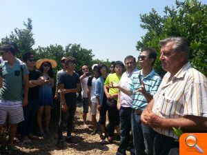 Universitarios coreanos se interesan por las naranjas de Burriana - (foto 11)