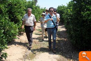Universitarios coreanos se interesan por las naranjas de Burriana - (foto 10)