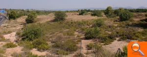 El PSPV denuncia que una planta tratará 9.500 toneladas al año de estiércol en una zona forestal cercana a una urbanización  - (foto 2)