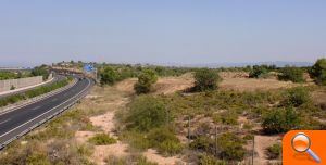 El PSPV denuncia que una planta tratará 9.500 toneladas al año de estiércol en una zona forestal cercana a una urbanización  - (foto 3)