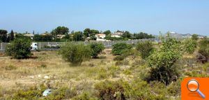 El PSPV denuncia que una planta tratará 9.500 toneladas al año de estiércol en una zona forestal cercana a una urbanización  - (foto 5)