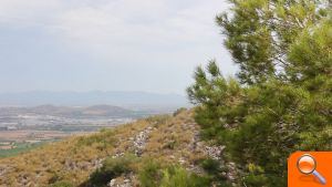 La Serra Perenxisa ya disfruta de la categoría de Microrreserva de flora - (foto 6)