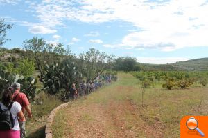 Rutas Temps de pansa 2013 - (foto 3) Rutas Temps de pansa 2013 - (foto 3)
