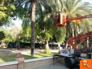 L’Ajuntament d’Alfafar realizó un tratamiento contra roedores en el Parc de les Palmeres