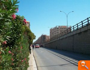 Albert: "El PP se desentiende de la situación en la que se encuentra el tramo de acera ubicado bajo el puente de Peris y Valero" - (foto 2) Albert: "El PP se desentiende de la situación en la que se encuentra el tramo de acera ubicado bajo el puente de Peris y Valero" - (foto 2)