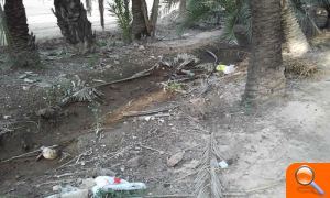 El PSOE afirma que en plena ruta del palmeral hay un vertedero de basura - (foto 4) El PSOE afirma que en plena ruta del palmeral hay un vertedero de basura - (foto 4)