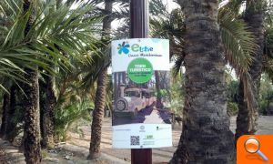 El PSOE afirma que en plena ruta del palmeral hay un vertedero de basura - (foto 5) El PSOE afirma que en plena ruta del palmeral hay un vertedero de basura - (foto 5)