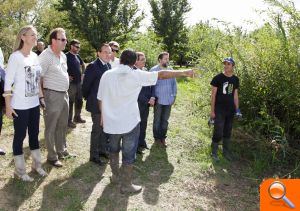 La Conselleria y el Ayuntamiento de Gandia actúan contra las plantas invasoras de los Ullals  - (foto 2)
