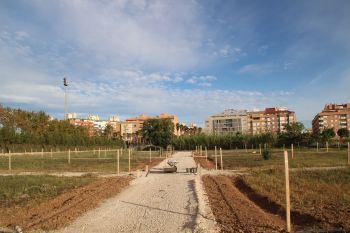 L’Ajuntament d’Alaquàs celebrarà demà el sorteig públic de les 76 parcel·les de la primera fase de la xarxa d’horts urbans