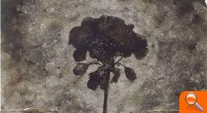 Una joven vinculada con Vilafamés gana el Premio BMW a la Obra Artística más Innovadora y Vanguardista - (foto 2)