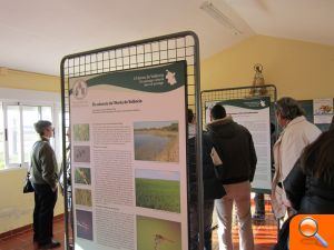 Finaliza con gran éxito de asistencia la exposición “L’Horta de València” - (foto 5)