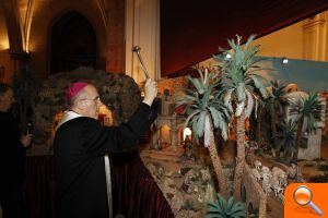 El Belén 2013 de la Catedral incluye 300 animales y espera llegar a las 350.000 visitas del año pasado - (foto 5)