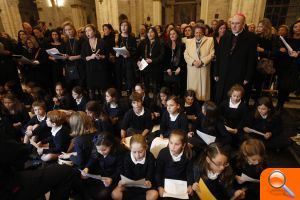 El Belén 2013 de la Catedral incluye 300 animales y espera llegar a las 350.000 visitas del año pasado - (foto 3)