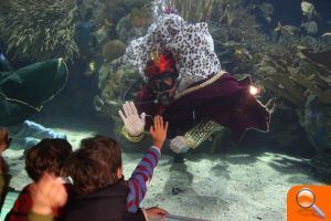 Los Reyes Magos bucean en el Oceanogràfic saludando a los visitantes