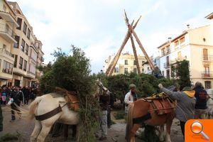 El Ayuntamiento coordinará con numerosos voluntarios los actos de Sant Antoni y hace un llamamiento para que haya mayorales en 2015 - (foto 2) El Ayuntamiento coordinará con numerosos voluntarios los actos de Sant Antoni y hace un llamamiento para que haya mayorales en 2015 - (foto 2)