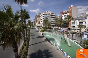 Comienza la poda de palmeras en paseos, parques y jardines de Torrevieja