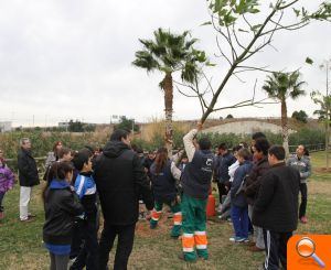 Alumnos de veinte colegios plantarán especies durante todo el mes para conmemorar el Día del Árbol - (foto 2) Alumnos de veinte colegios plantarán especies durante todo el mes para conmemorar el Día del Árbol - (foto 2)