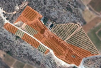 El Ayuntamiento emprende acciones legales para recuperar más de 25.000 metros cuadrados de suelo municipal ocupados por unos vecinos