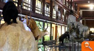 Museo del Carmen recibe una ayuda de 26.000 euros del Ayuntamiento de Onda para mejorar las instalaciones - (foto 2)