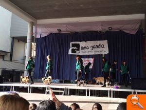 Presentació de fallers, Sopar homenatge i Matinal Esportiva de Juniors Sant Josep - (foto 4)