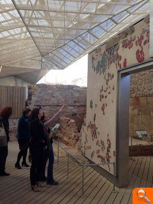 La Alcaldesa visita el refugio de Cartagena y comienza la búsqueda de financiación para poner en valor el de Elche - (foto 2)