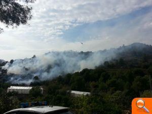Un incendio calcina 0,75 hectáreas de matorral y pinar en el término de Nules - (foto 2)