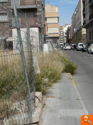 PSOE: "El Ayuntamiento sigue sin adecentar el solar insalubre junto al centro de salud que los vecinos denunciaron hace más de un año" - (foto 3)