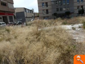 PSOE: "El Ayuntamiento sigue sin adecentar el solar insalubre junto al centro de salud que los vecinos denunciaron hace más de un año" - (foto 2)