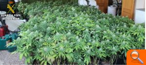 La Guardia Civil desmantela un laboratorio clandestino de marihuana ubicado en un zulo en la localidad de Alberic - (foto 2)