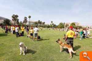 Más de 100 perros participan en la 1ª Jornada Gratuita de Adiestramiento Canino en el Campo de Golf de l’Albir - (foto 3)