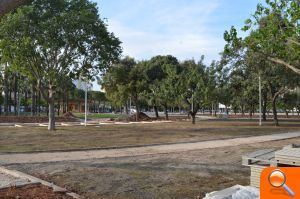 Compromís denúncia la tala d'arbres al Parc del Clot de la Mota i demana la convocatòria urgent del Consell de l'Arbratge - (foto 5)