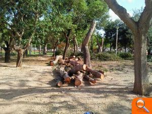 Compromís denúncia la tala d'arbres al Parc del Clot de la Mota i demana la convocatòria urgent del Consell de l'Arbratge - (foto 4) Compromís denúncia la tala d'arbres al Parc del Clot de la Mota i demana la convocatòria urgent del Consell de l'Arbratge - (foto 4)