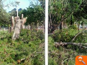 Compromís denúncia la tala d'arbres al Parc del Clot de la Mota i demana la convocatòria urgent del Consell de l'Arbratge - (foto 3) Compromís denúncia la tala d'arbres al Parc del Clot de la Mota i demana la convocatòria urgent del Consell de l'Arbratge - (foto 3)
