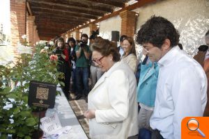 El Ayuntamiento organiza el “I Certamen Internacional de la Rosa” que atrae a expertos de todo el mundo - (foto 6)