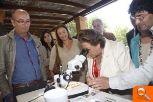 El Ayuntamiento organiza el “I Certamen Internacional de la Rosa” que atrae a expertos de todo el mundo - (foto 4)