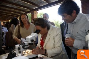 El Ayuntamiento organiza el “I Certamen Internacional de la Rosa” que atrae a expertos de todo el mundo - (foto 3)