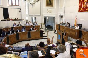 La Diputación de Alicante se dota de un Plan Estratégico para regular la concesión de subvenciones - (foto 2)
