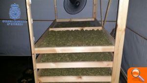 La Policía Nacional detiene a dos personas por cultivo hidropónico de marihuana en el interior de una vivienda - (foto 3)