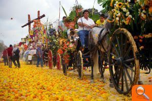 Toni Sánchez se alza con el premio Barón de Cortes de la Batalla de Flores por tercer año consecutivo - (foto 5) Toni Sánchez se alza con el premio Barón de Cortes de la Batalla de Flores por tercer año consecutivo - (foto 5)