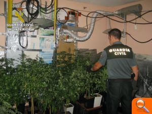 La Guardia Civil desmantela un laboratorio dedicado al cultivo ilegal de marihuana