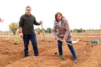 Alaquàs inaugura el dissabte la tercera fase de la xarxa d’horts urbans