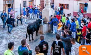 El “bou” de Ontinyent esquiva la lluvia - (foto 2)