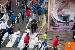 El “bou” de Ontinyent esquiva la lluvia - (foto 3)