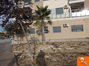 El Ayuntamiento de Alzira mejora los parterres de la plaza de Cartonatges - (foto 2) El Ayuntamiento de Alzira mejora los parterres de la plaza de Cartonatges - (foto 2)