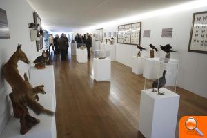 El Museo de Ciencias Naturales El Carmen inicia sus exposiciones itinerantes - (foto 3)