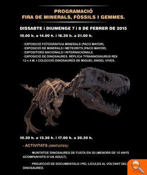 III Fira de minerals, fòssils i gemmes a Oliva - (foto 3)