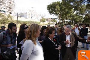 El ayuntamiento amplía la superficie verde del tramo III del jardín del Turia - (foto 4)